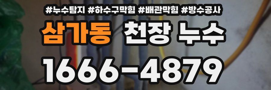 삼가동 천장 누수