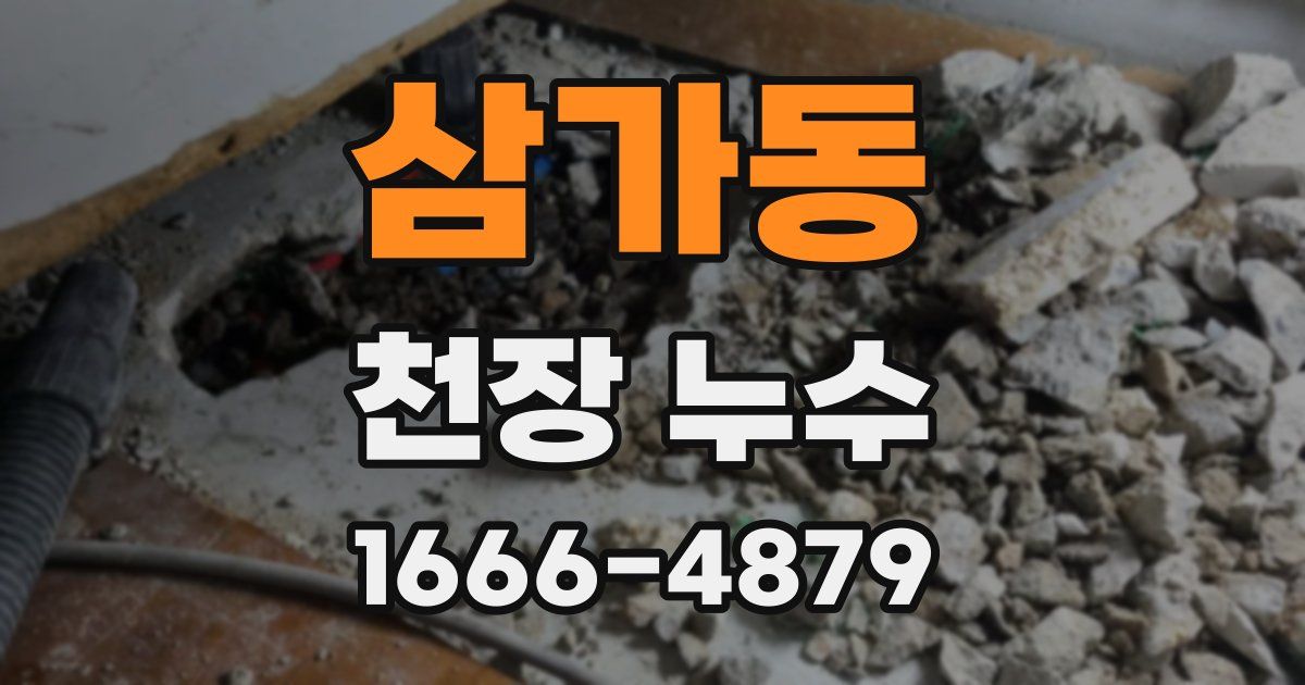 삼가동 천장 누수