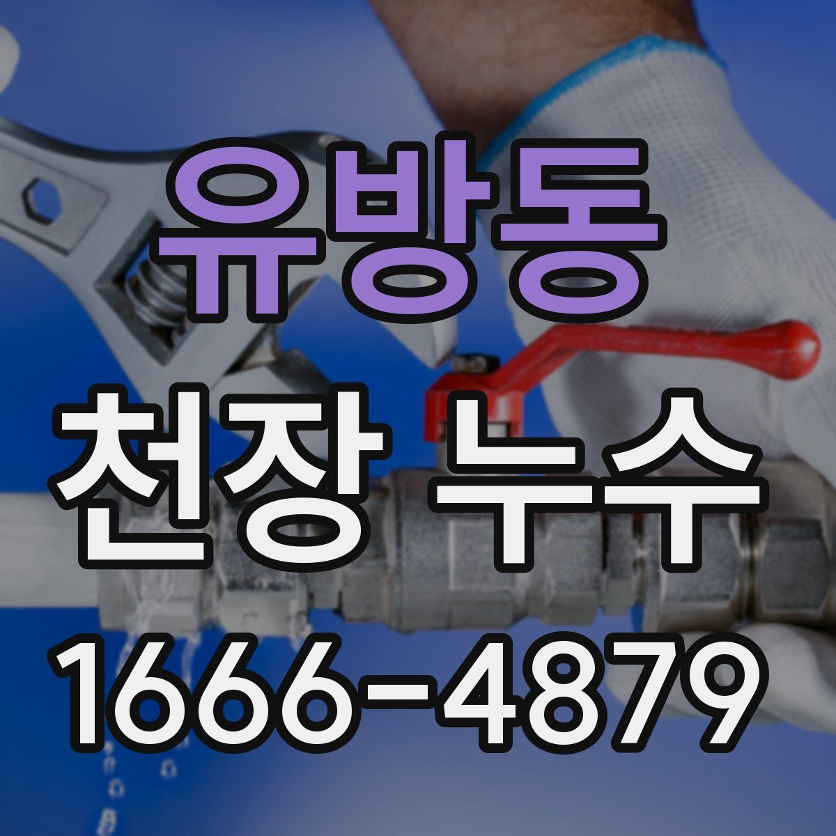 유방동 천장 누수
