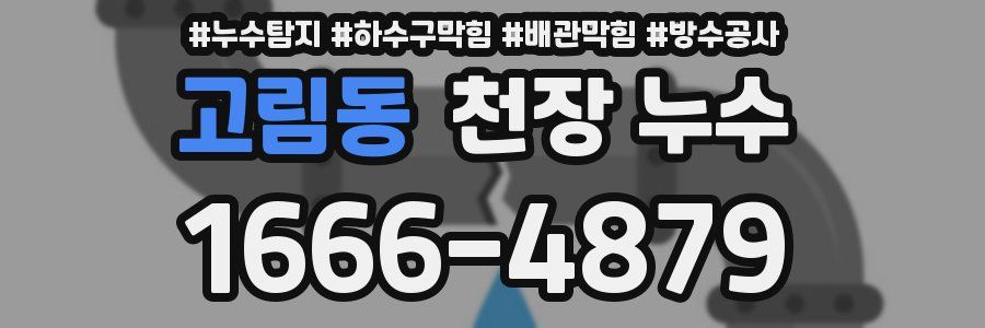 고림동 천장 누수