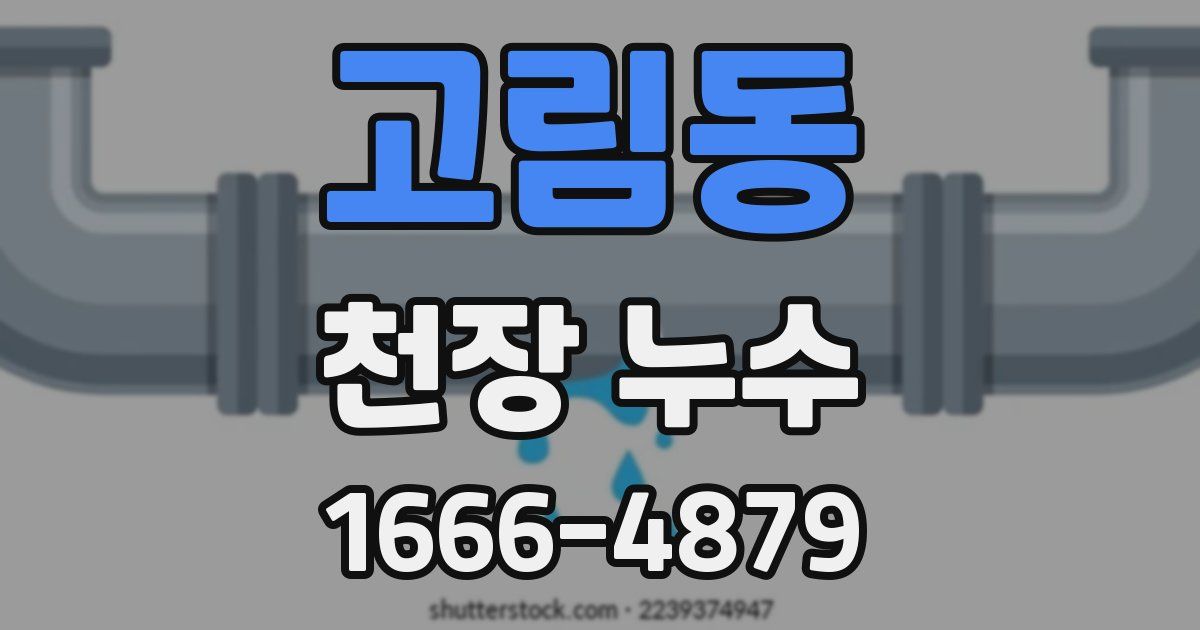 고림동 천장 누수