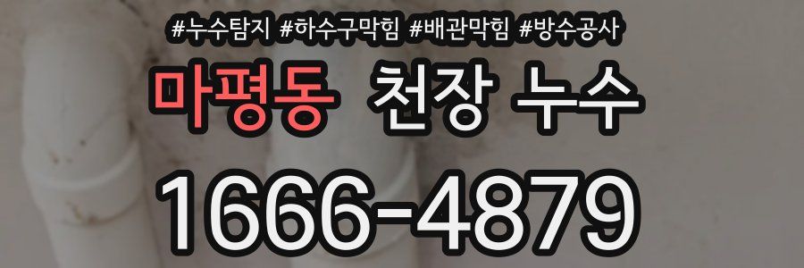 마평동 천장 누수