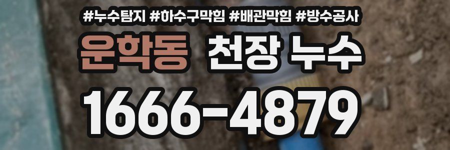 운학동 천장 누수