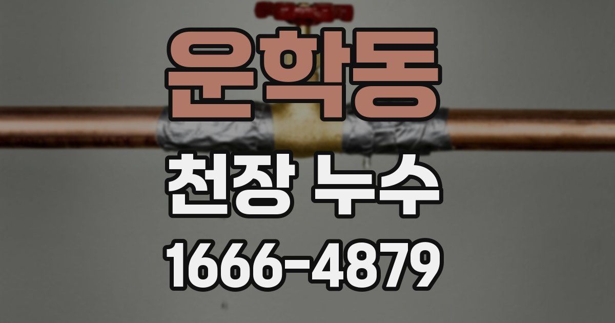 운학동 천장 누수