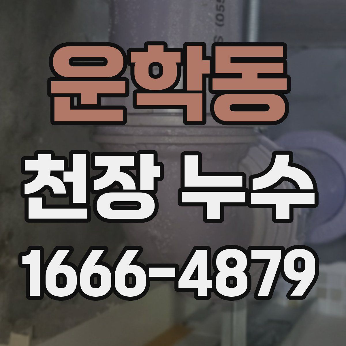 운학동 천장 누수