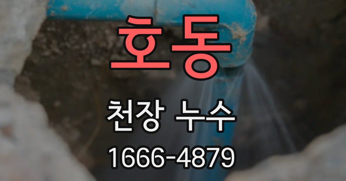 호동 천장 누수