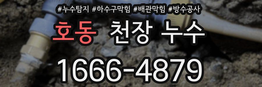 호동 천장 누수