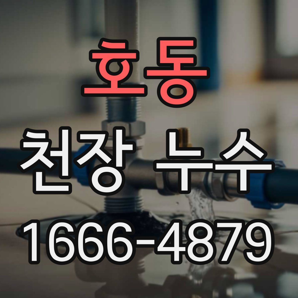 호동 천장 누수