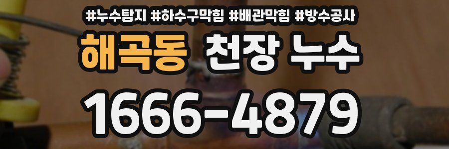 해곡동 천장 누수