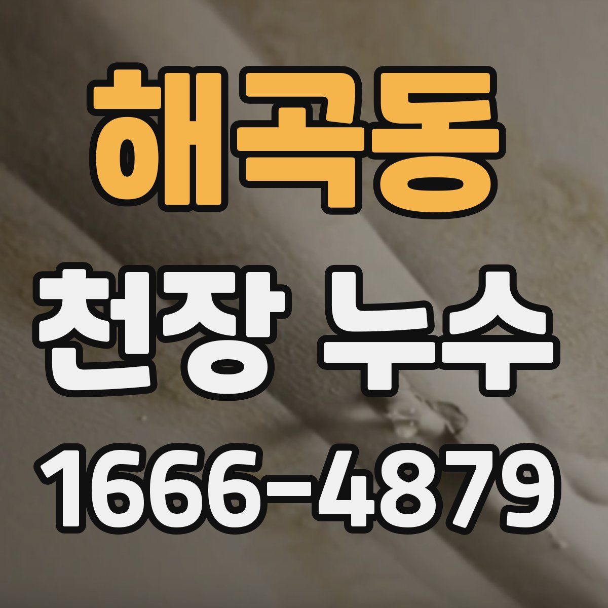 해곡동 천장 누수