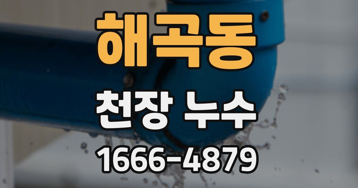 해곡동 천장 누수