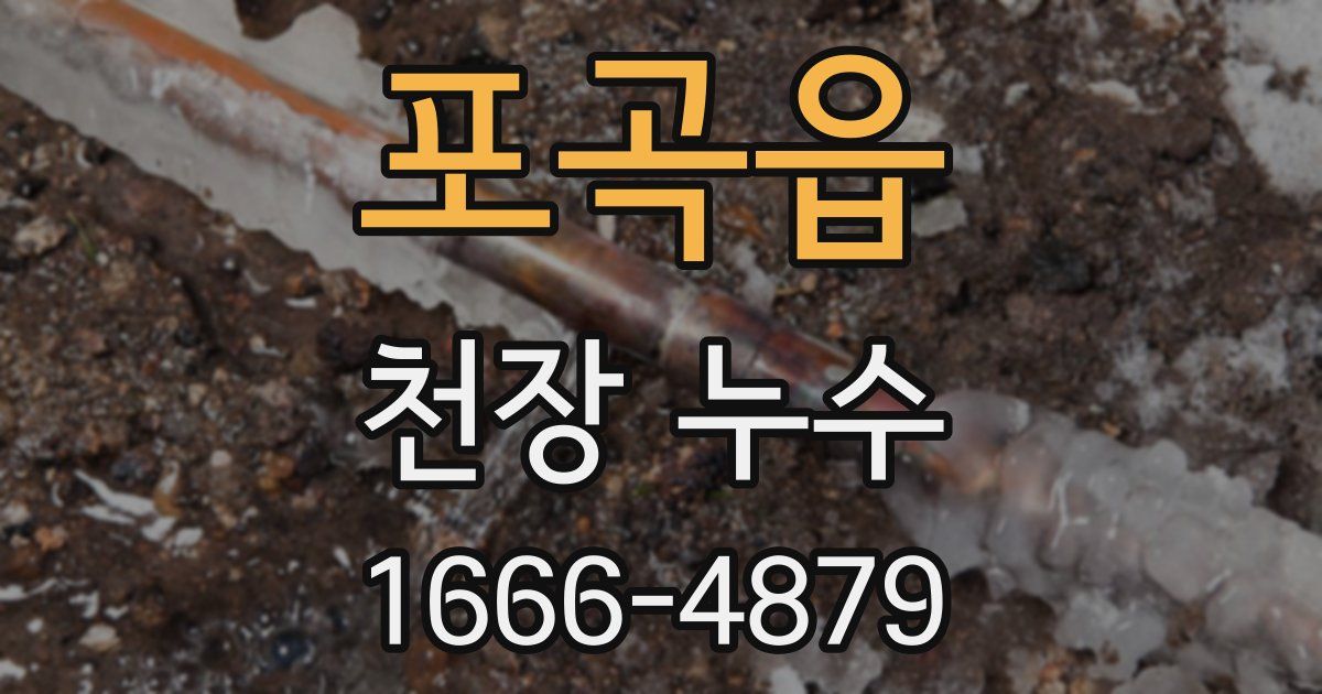 포곡읍 천장 누수