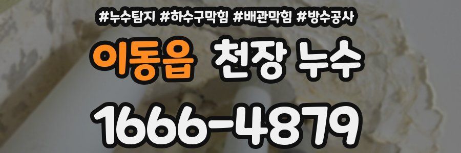 이동읍 천장 누수