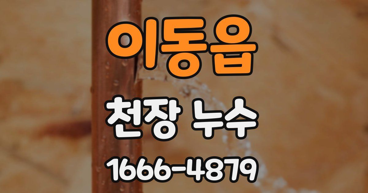 이동읍 천장 누수