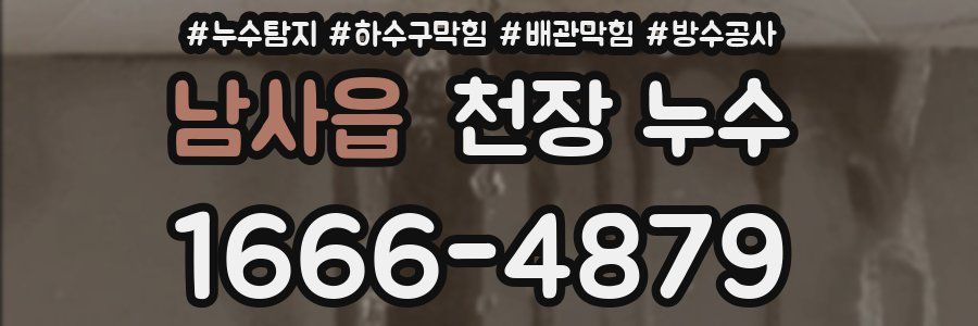 남사읍 천장 누수