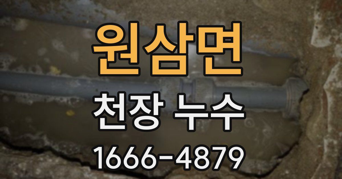 원삼면 천장 누수