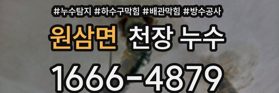 원삼면 천장 누수