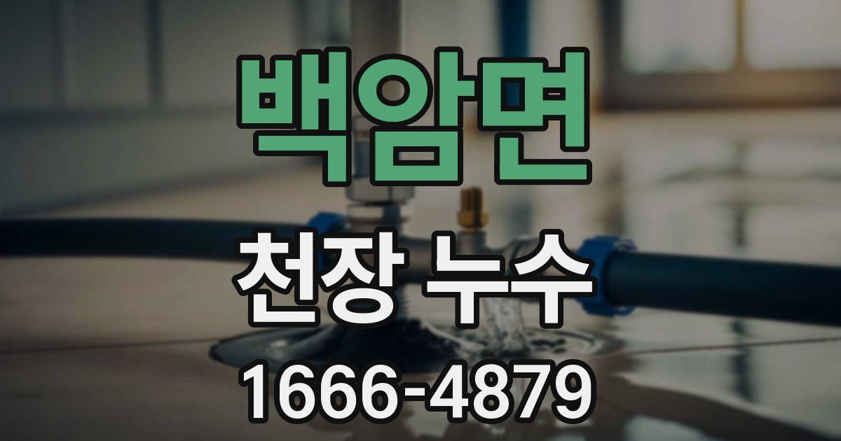 백암면 천장 누수