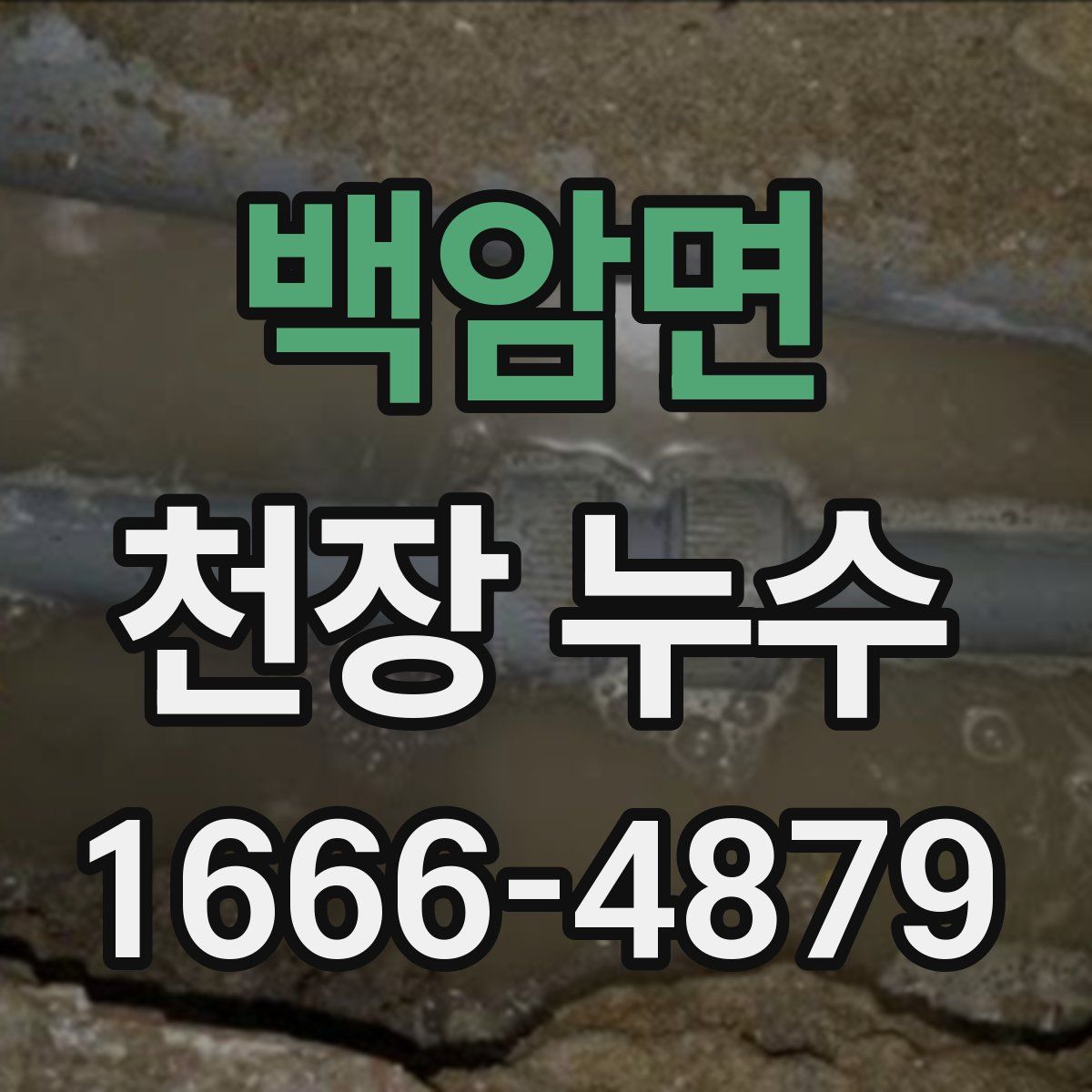 백암면 천장 누수