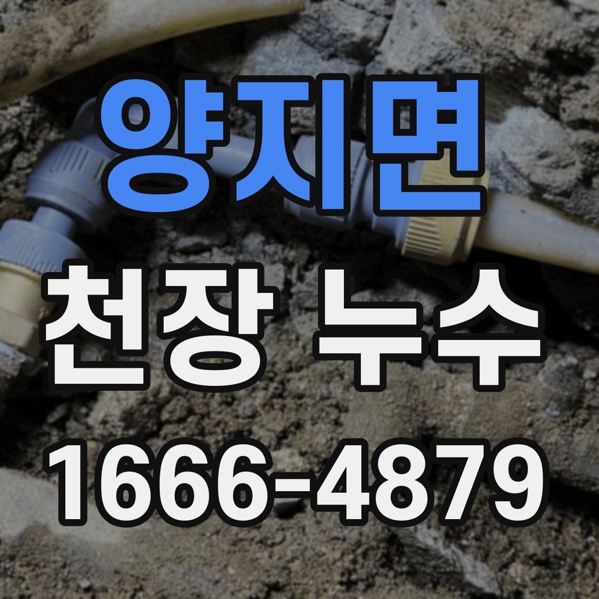 양지면 천장 누수