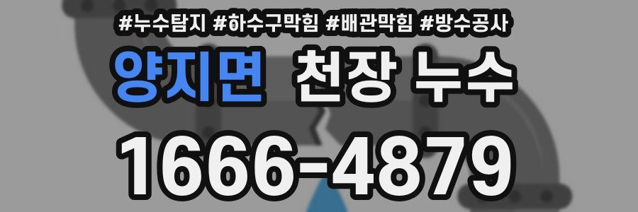 양지면 천장 누수