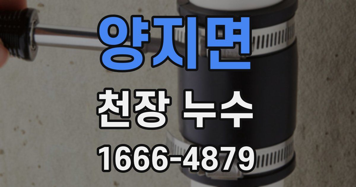 양지면 천장 누수