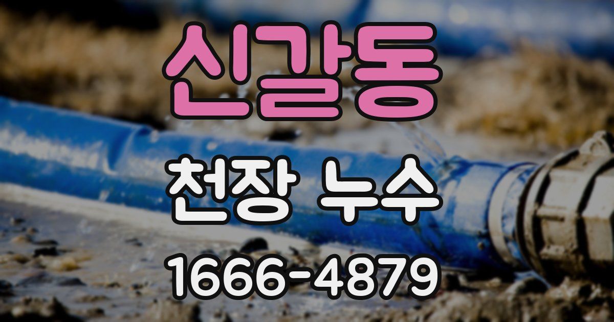 신갈동 천장 누수