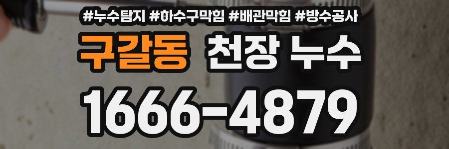 구갈동 천장 누수