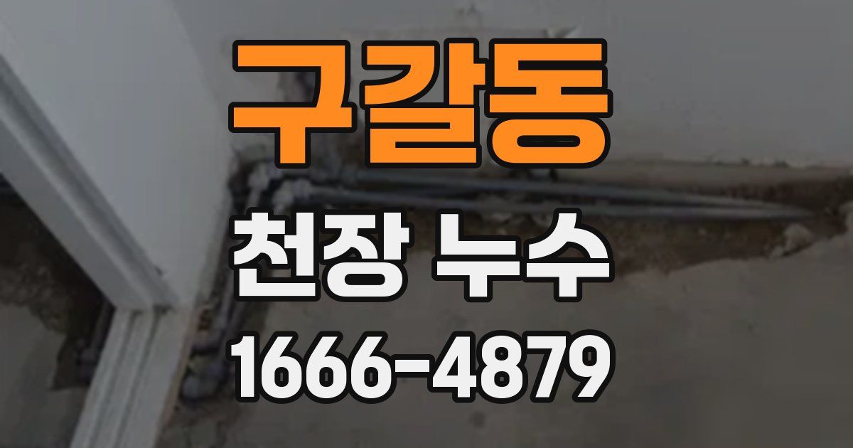 구갈동 천장 누수