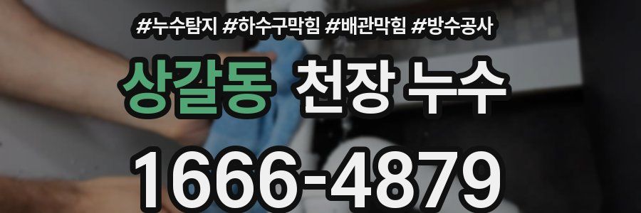 상갈동 천장 누수