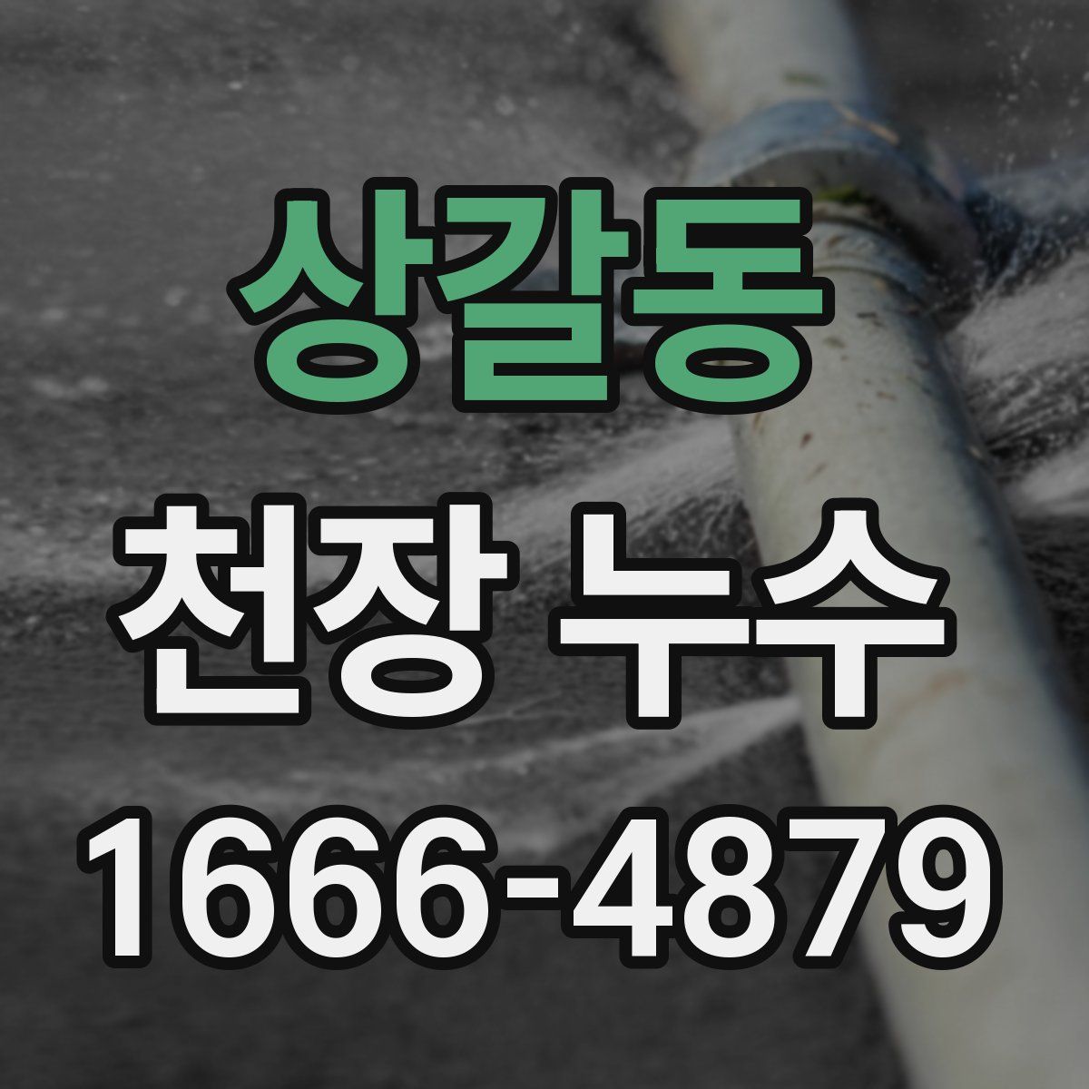 상갈동 천장 누수