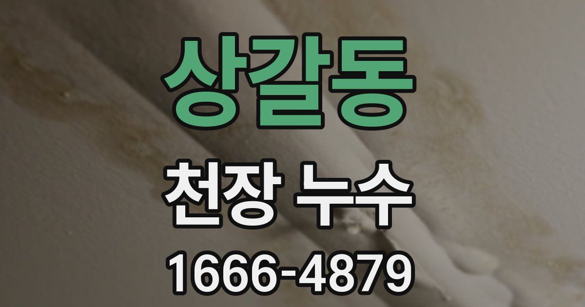 상갈동 천장 누수