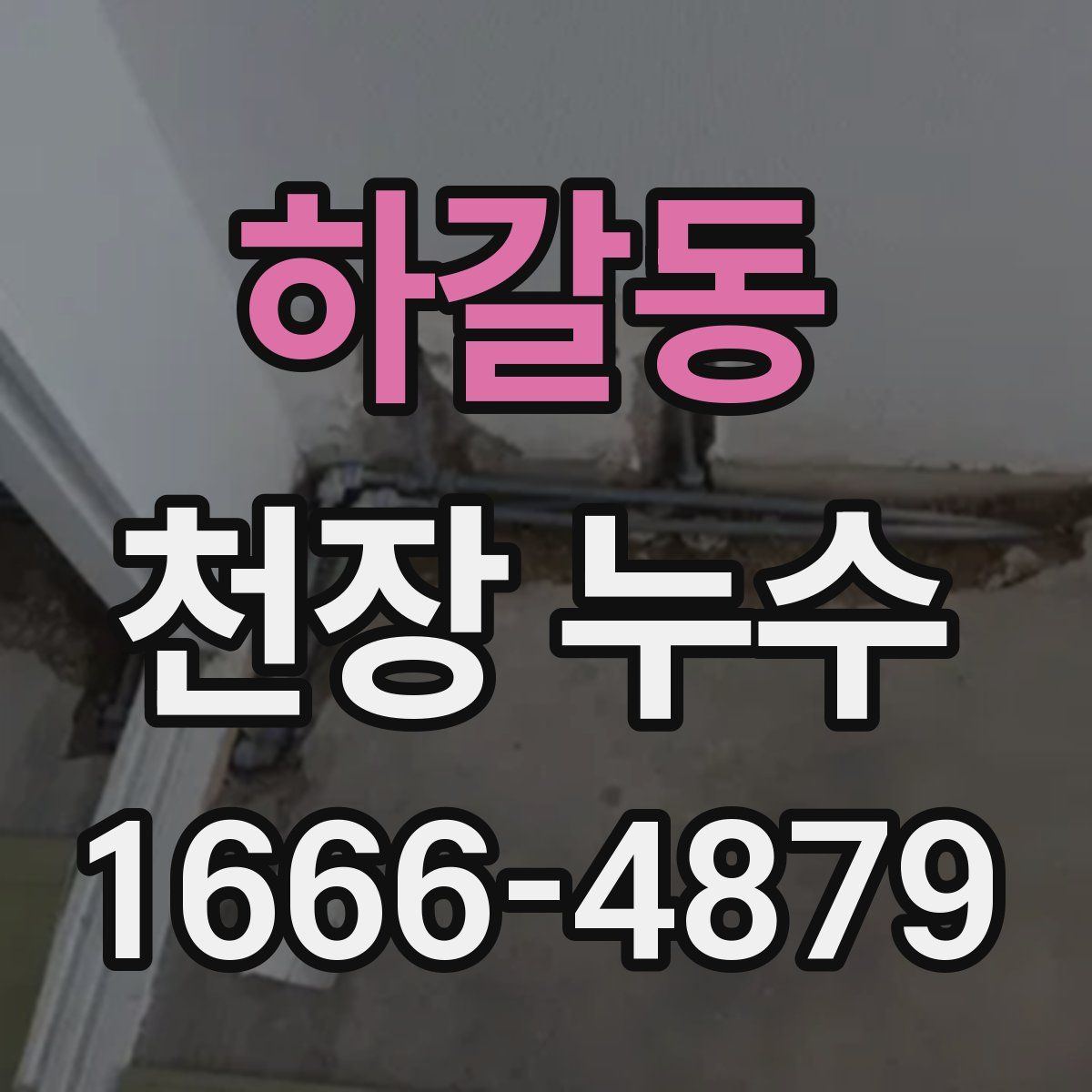 하갈동 천장 누수