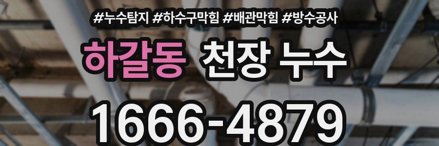 하갈동 천장 누수