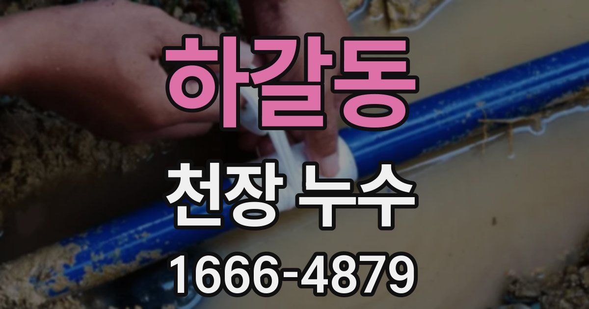 하갈동 천장 누수