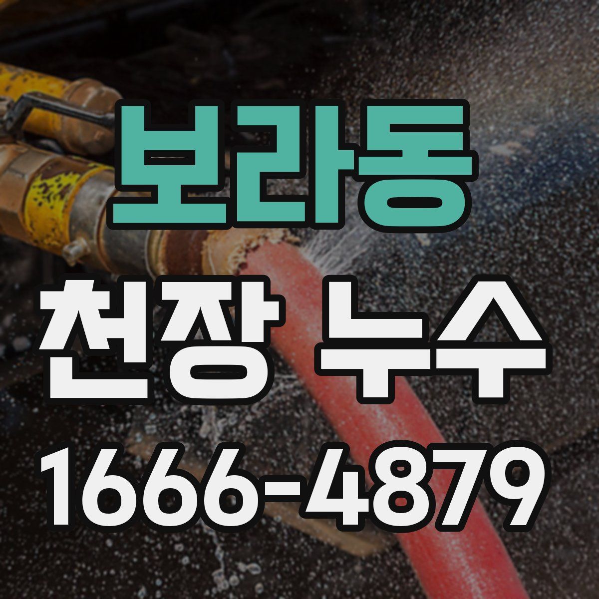 보라동 천장 누수