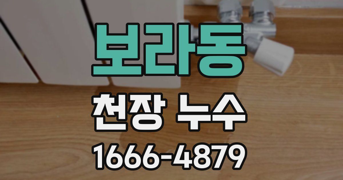 보라동 천장 누수