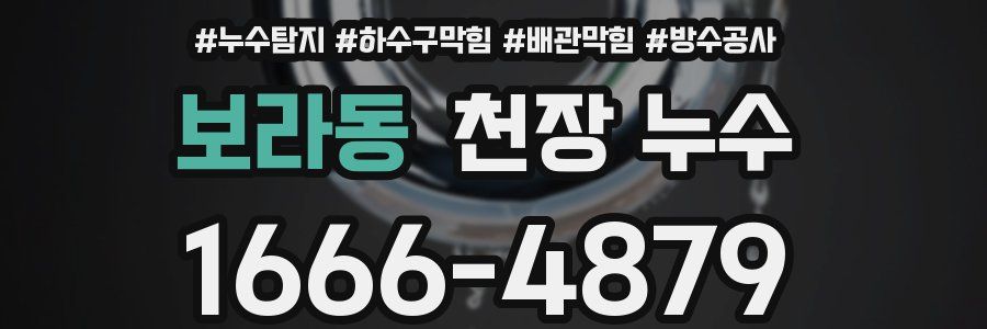 보라동 천장 누수