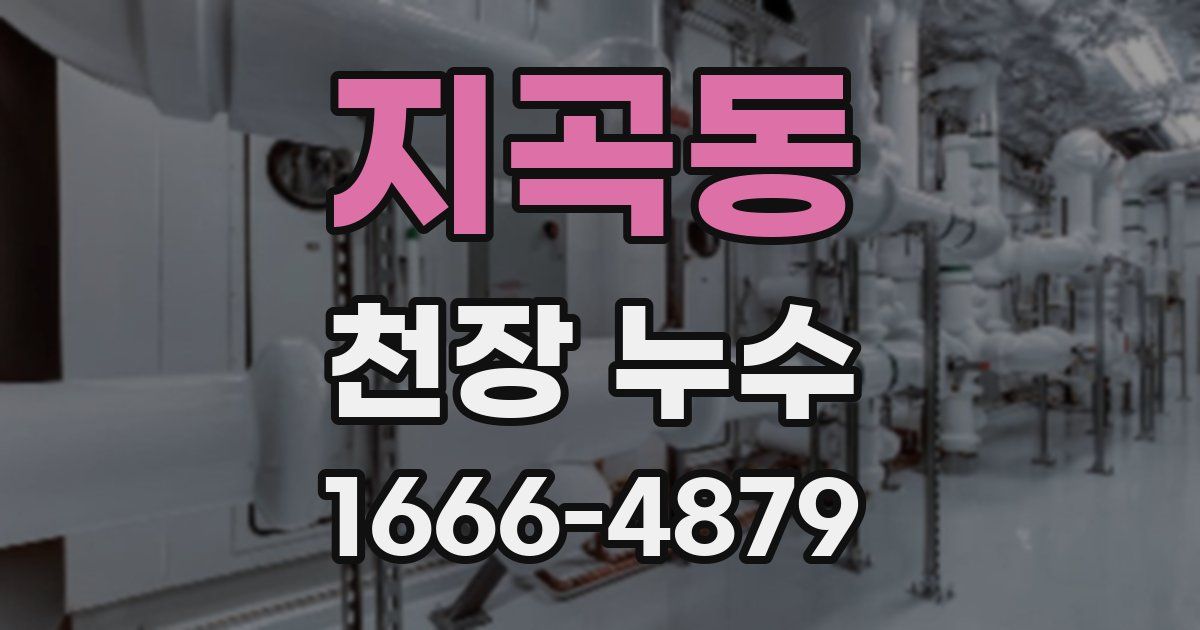 지곡동 천장 누수