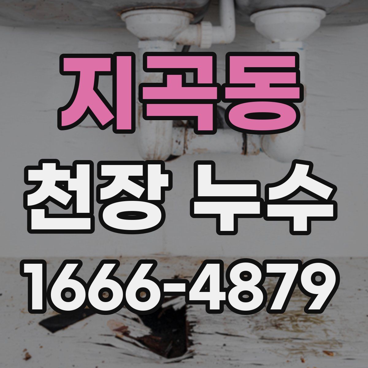 지곡동 천장 누수