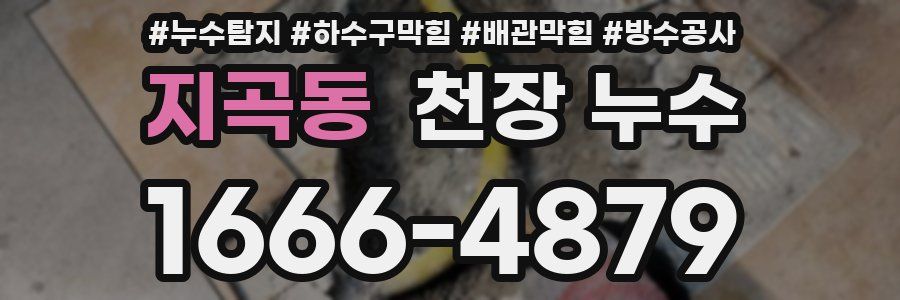 지곡동 천장 누수