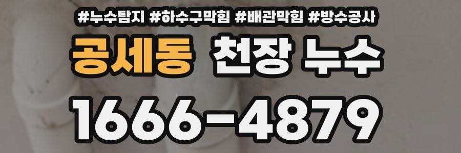 공세동 천장 누수