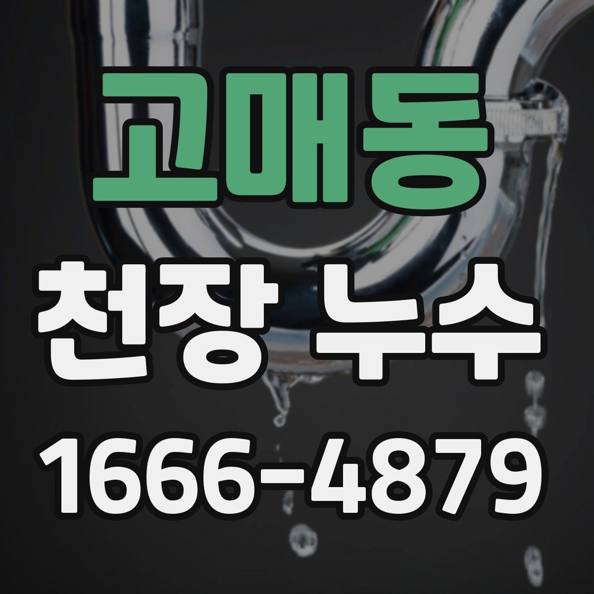고매동 천장 누수