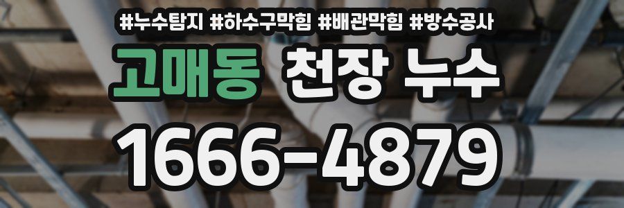 고매동 천장 누수