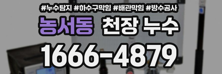 농서동 천장 누수