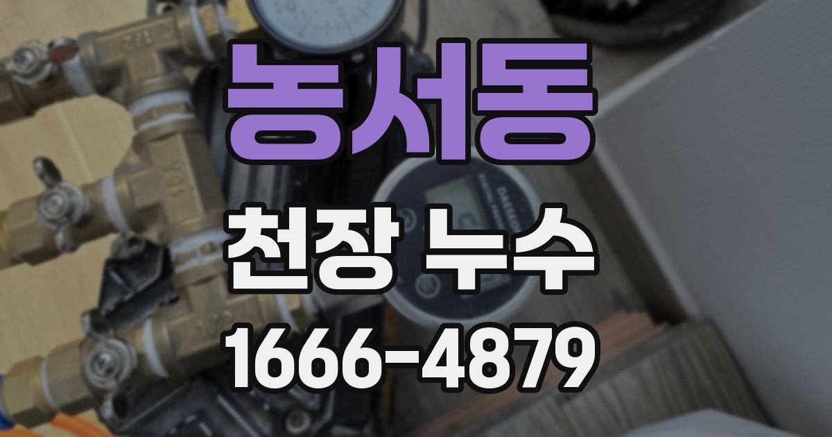 농서동 천장 누수