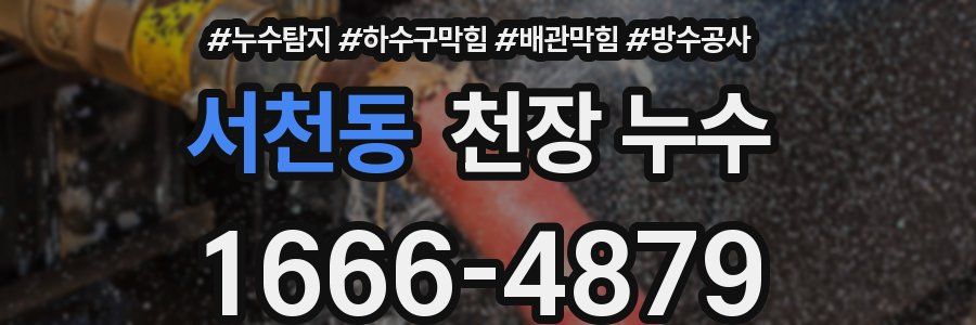 서천동 천장 누수