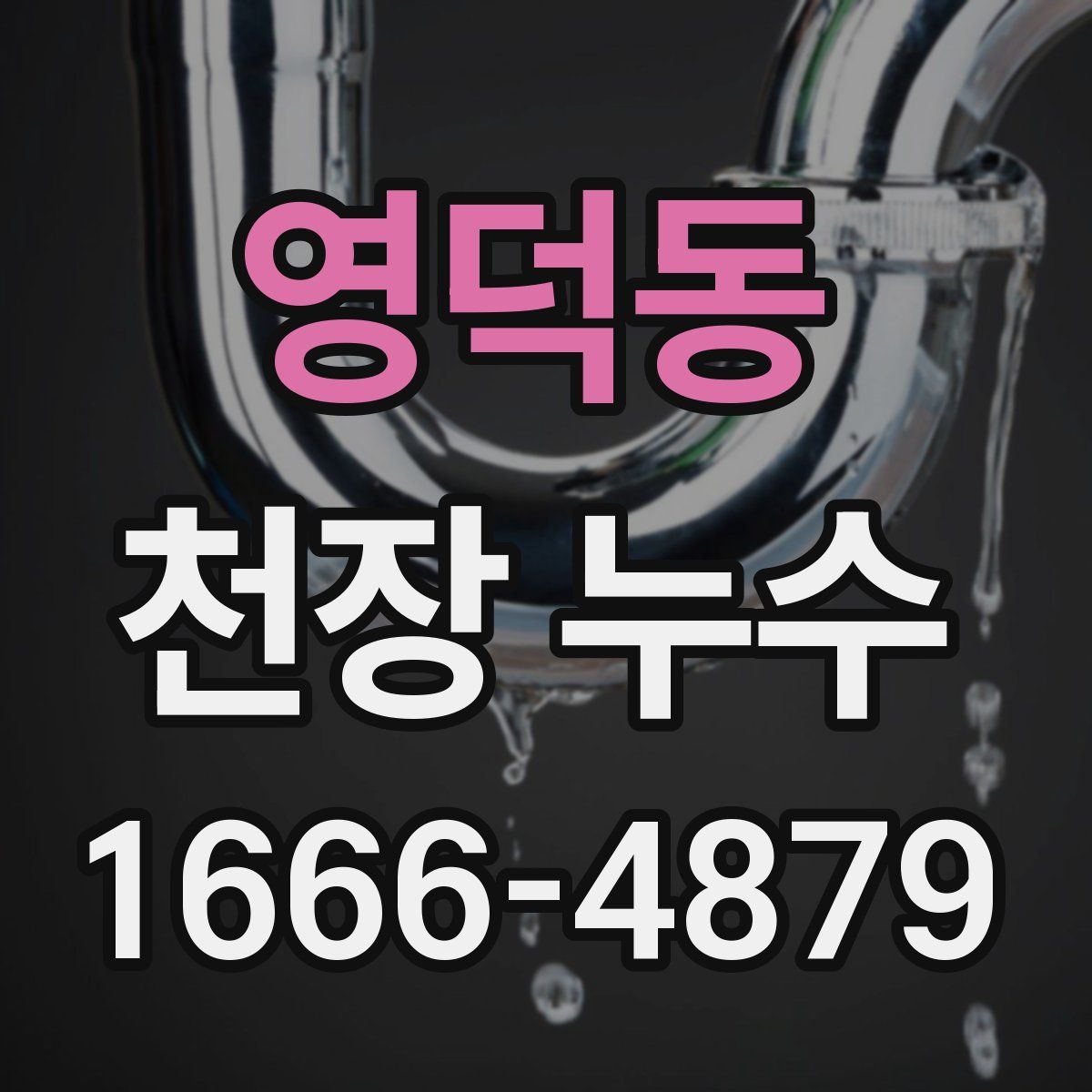 영덕동 천장 누수