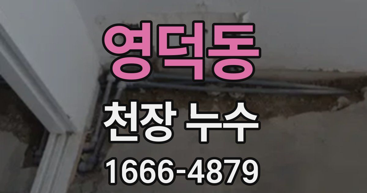 영덕동 천장 누수