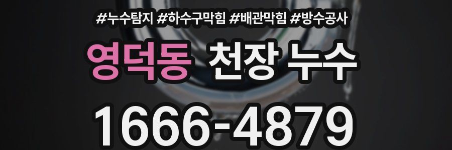 영덕동 천장 누수